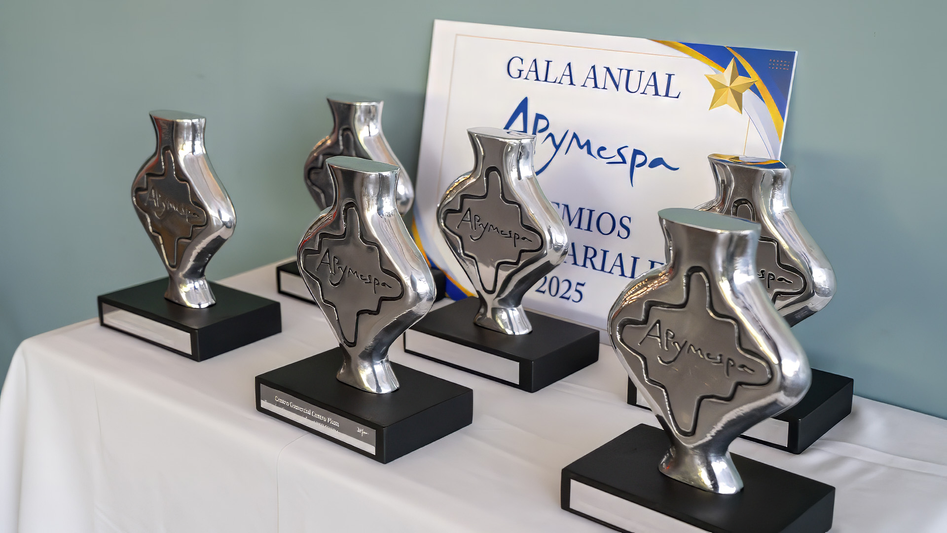 APYMESPA prepara su Gala Anual 2026 que tendrá lugar el próximo 2 de octubre