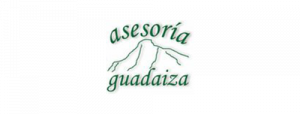 Asesoría Guadaiza