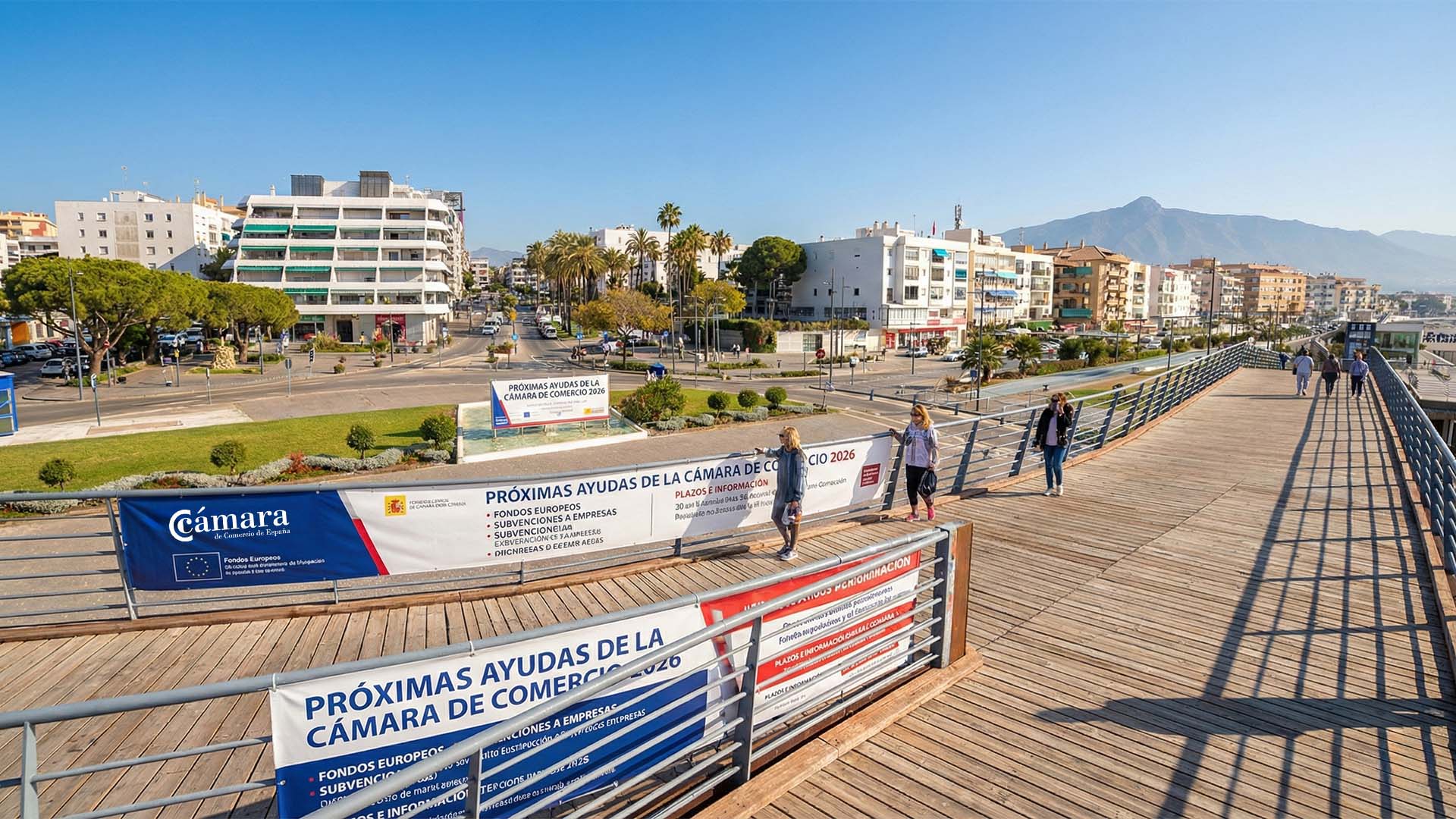 Próximas ayudas de la Cámara de Comercio 2026: Impulso clave para PYMEs y Autónomos